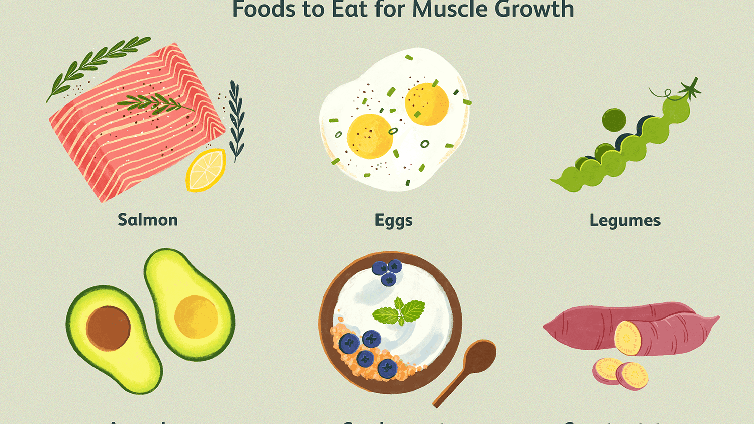 Muscle Building Foods